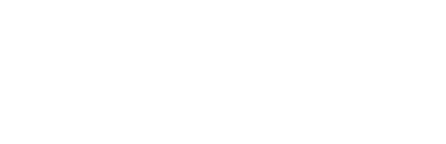 BDO USA
